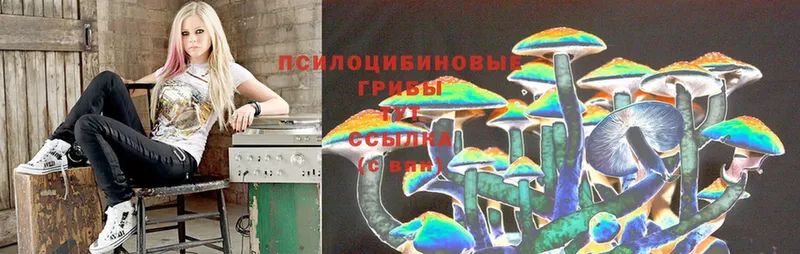 Галлюциногенные грибы Cubensis  Рыбное 